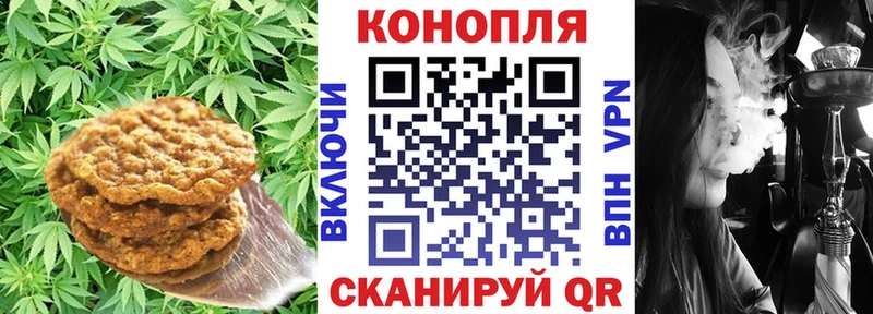 Cannafood конопля  Купить закладки  Княгинино 