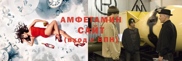 шишки Михайловск