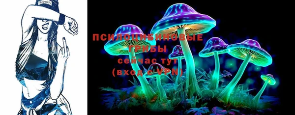 шишки Михайловск