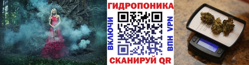 Бошки марихуана конопля Княгинино